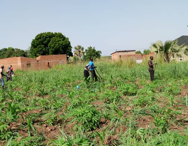 farm and garden